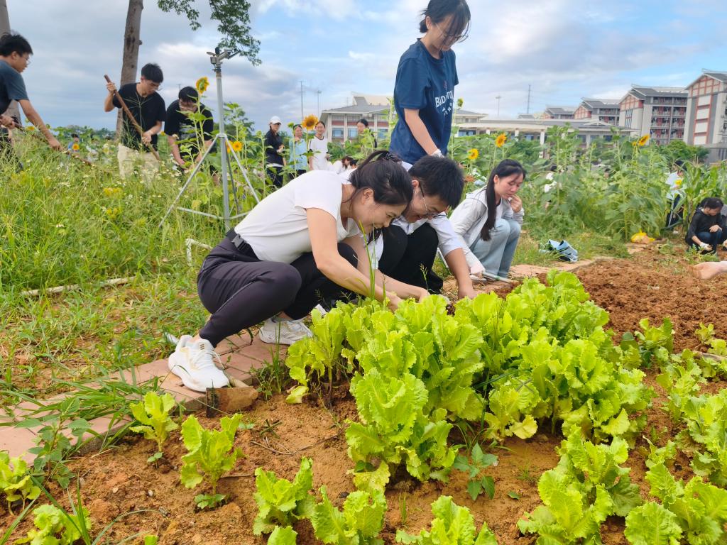 英国上市公司365
