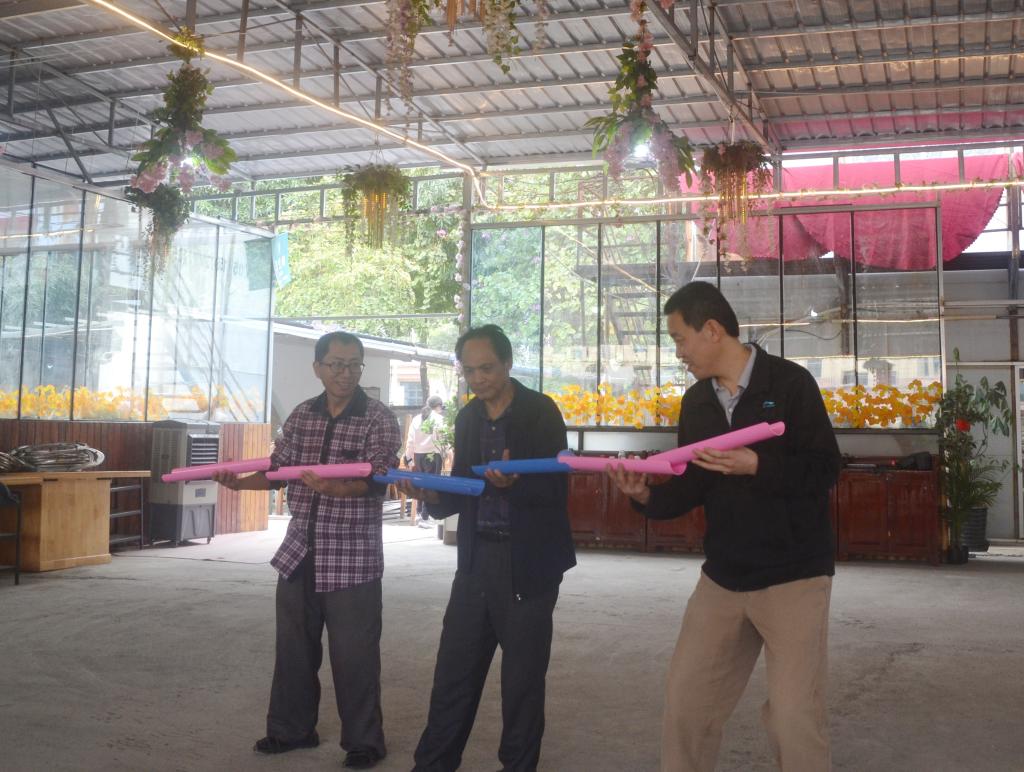 英国上市公司365