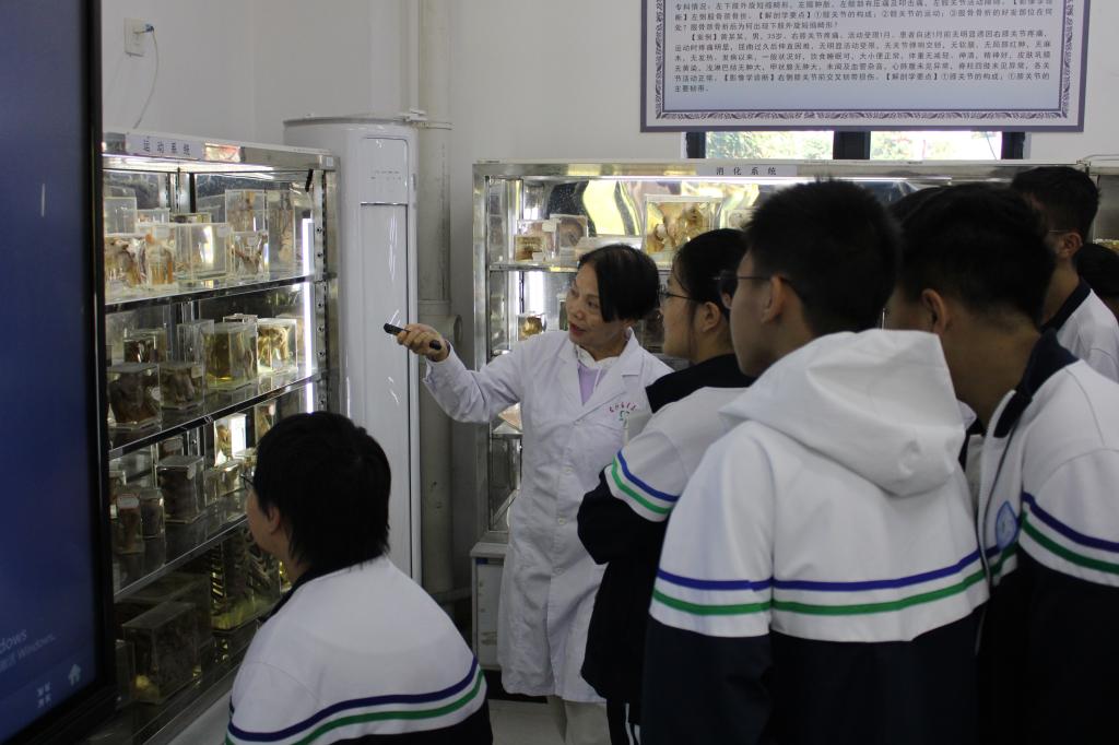 英国上市公司365