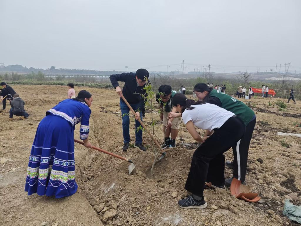 英国上市公司365